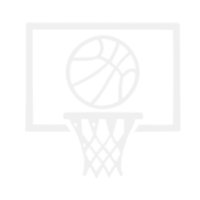 basket logo
